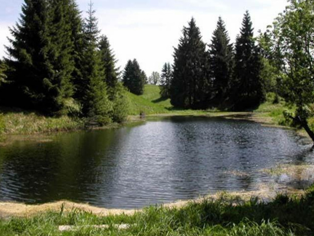 Ferienhaus U Valášků — Foto 43
