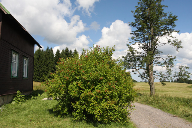 Ferienhaus U Valášků — Foto 51